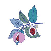 Flower Leaves Sticker by Binary Style