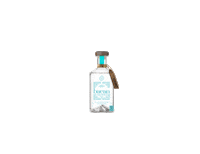 Bacanguaro party drink club miami Sticker