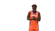 Basketball University Sticker by Ontario Tech Ridgebacks