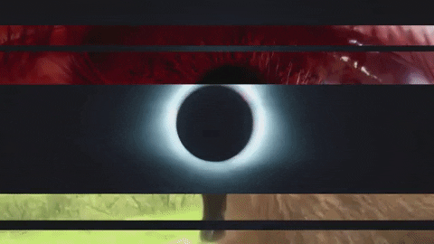 Art Video GIF by jorgemariozuleta