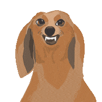 Dackelaugenklimpern Sticker by Susann Stoebe