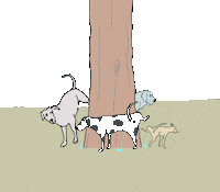 Hundecartoon Sticker by Susann Stoebe