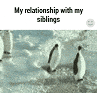 siblings GIF