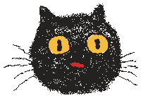 Surprised Cat Sticker