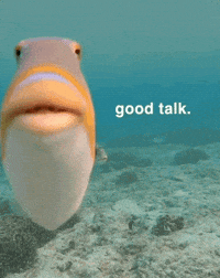 Fish Sarcasm GIF
