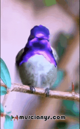 Feliz Amigos GIF by Murcianys LLC