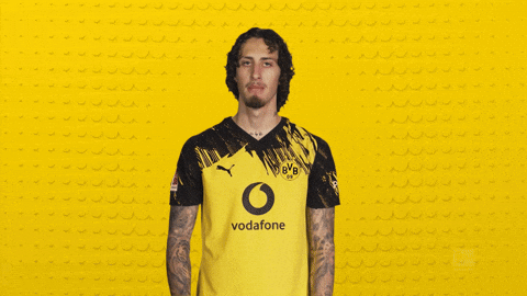 Borussia Dortmund Silva GIF by Bundesliga