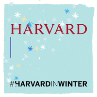 Haa Harvard Alumni GIF by Harvard Alumni Association