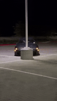 Hide And Seek GIF