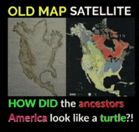 America Turtle GIF