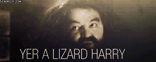harry potter pun GIF by Cheezburger