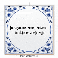 Nl Reflectie GIF by Tegelspreuken.nl