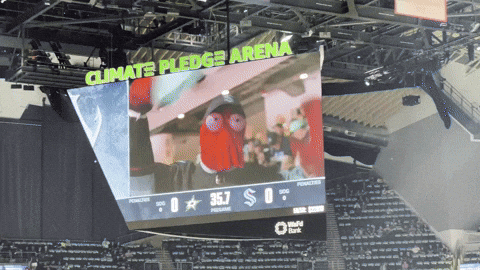 Hockey Nhl GIF