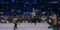 Aew On Tnt GIF by All Elite Wrestling on TV