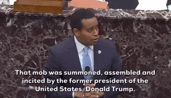 January 6 Insurrection GIF by GIPHY News