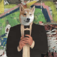 Shiba Inu Wink GIF