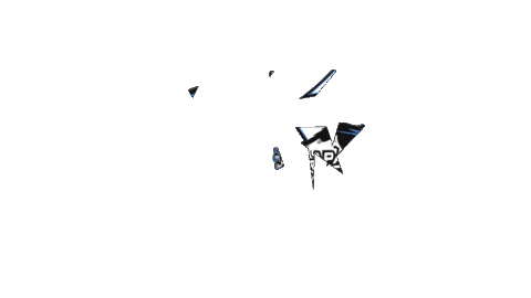 Hockey Sticker by Les Rapaces de Gap