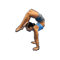 Chedeysalvador Sticker by American Spin