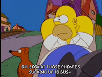homer simpson episode 13 GIF