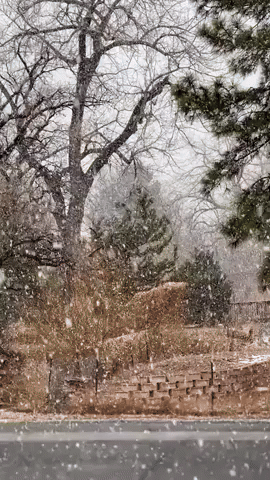 Big Snowflakes Shower Denver Suburbs