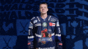 Celebration Hockey GIF by Iserlohn Roosters