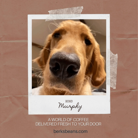 Berk's Beans Coffee CEO & President