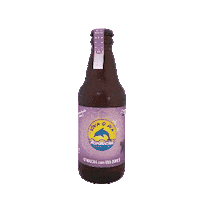 Kombucha Sticker by kombuchavivaodia