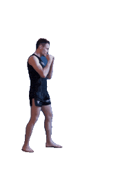 lesakfightteam mma muaythai k1 lesak Sticker