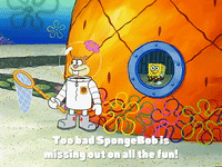 season 3 GIF by SpongeBob SquarePants