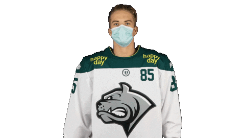 Bulldogs Dec Sticker by DornbirnBulldogs