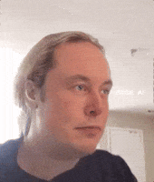 Elon Musk Pose GIF by FullMag