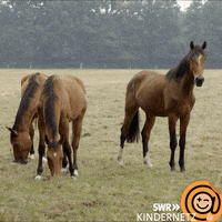 Happy Fun GIF by SWR Kindernetz