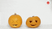 Halloween Fall GIF by BuzzFeed
