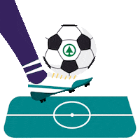 Football Goal Sticker by MyDespar