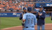 Blue Jays Baseball GIF by Toronto Blue Jays
