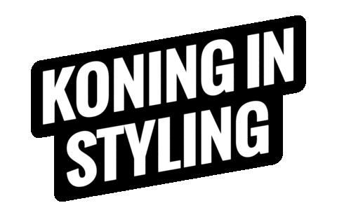 Skills Heroes Sticker by Koning Willem I College