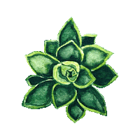 Plant Watercolor Sticker