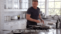 What Got You Into Farming?