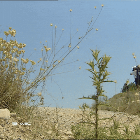 Speeding Fast Car GIF by FIA World Rally Championship