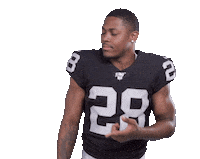 Oakland Raiders Football Sticker by NFL