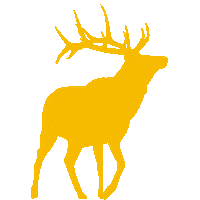 Tule Elk Ocean Sticker by Resource Renewal Institute