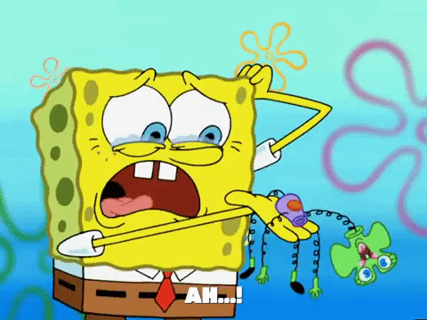 season 5 episode 3 GIF by SpongeBob SquarePants