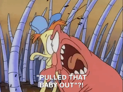rockos modern life nicksplat GIF