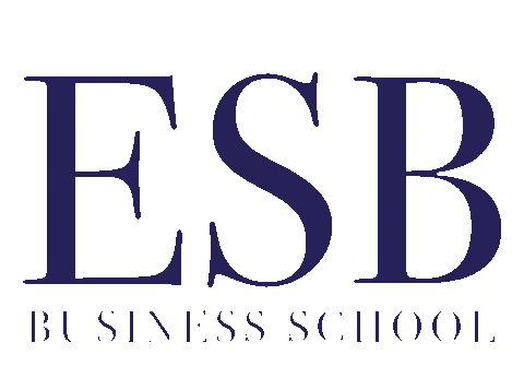 Who Are We International Business Sticker by IB Vision ESB