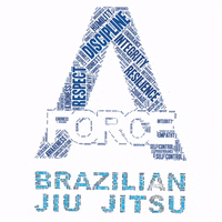 bjj jiujitsu GIF by aforcebjj