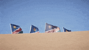 eesyees music style represent namibia GIF