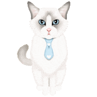 Ragdoll Cat Cats Sticker by zoopeez