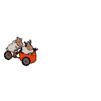 Sheep Cargobike Sticker
