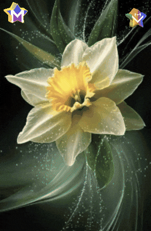 Sol Gracias GIF by Murcianys LLC