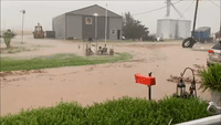 Flash Flooding Creates Virtual River on Illinois Farm